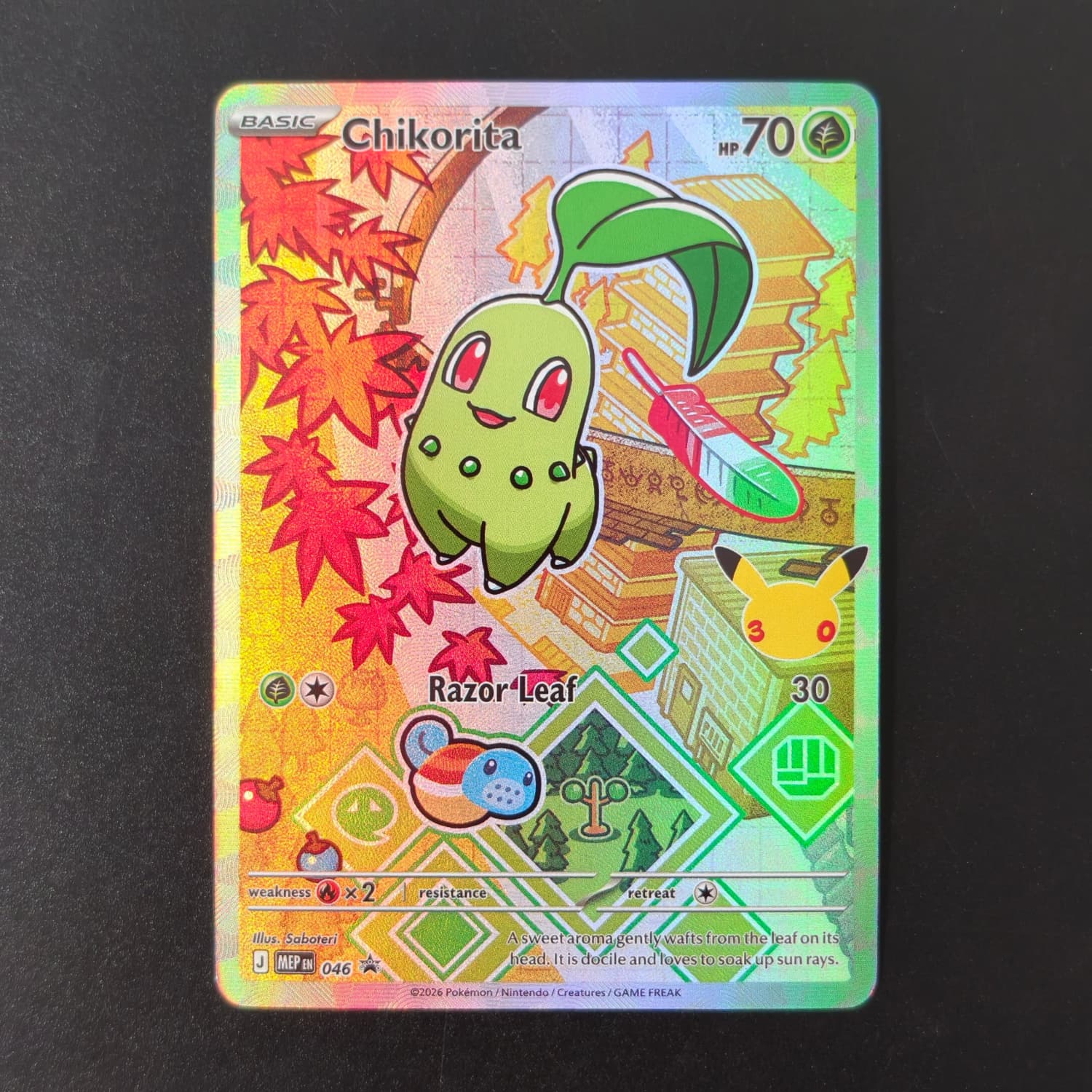 Totodile 048 Carte con Texture - Board Game English recensione e prezzo